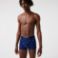 Εικόνα της Ανδρικά 3-Pack Casual Signature Trunks