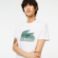Εικόνα της Ανδρικό Βαμβακερό Print T-shirt