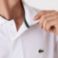 Εικόνα της Classic Fit Heavy Cotton Piqué L.12.21 Polo Μπλούζα